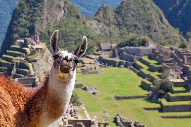Machu Picchu by Train (Day Trip - Private) - Key highlights to watch for on this private Machu Picchu train day