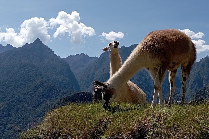 Machu Picchu Day Trip From Cusco By Panoramic Vistadome Train - Bus Tickets and Site Timing: Less Stress, Fewer Moving Parts