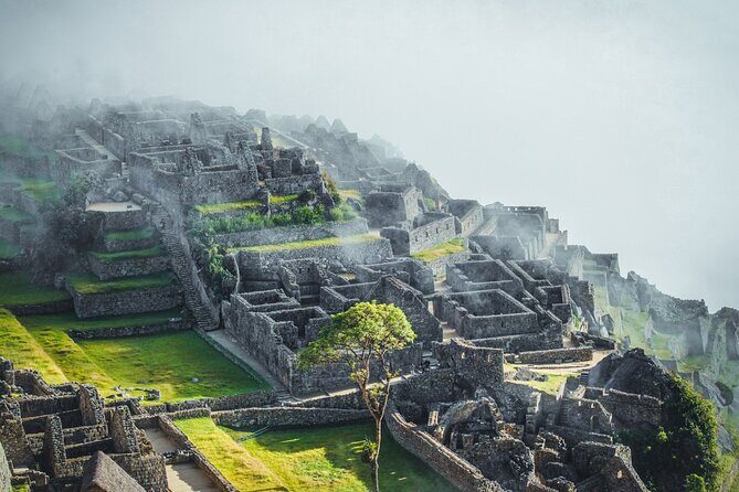 Machu Picchu Day Trip With Panoramic Train from Cusco - Price and value: what $379 buys you