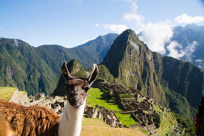 Machu Picchu from Cusco : tickets, guide and more - Key Things to Know Before You Go
