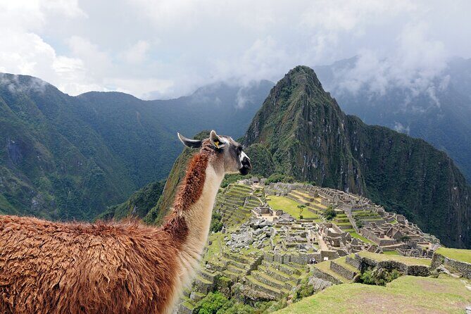 Machu Picchu from Cusco : tickets, guide and more - Machu Picchu in One Very Long Day: What 14 Hours Means