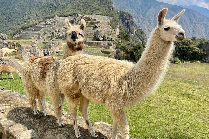 Machu Picchu from Cusco : tickets, guide and more - Tickets, Non-Transferable Access, and the Passport Data You Must Provide