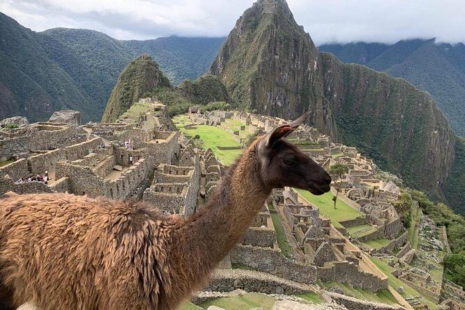 Machu Picchu FULL DAY from Cusco - Free time at Machu Picchu: use it well, because the day runs long