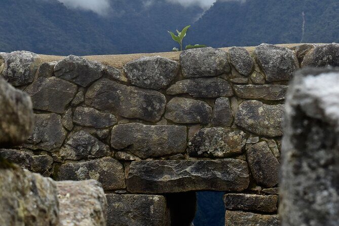 Machu Picchu full day Tour by train Expedition - Guided Time with a Pro: Juan Carlos and the Art of “Seeing Right”