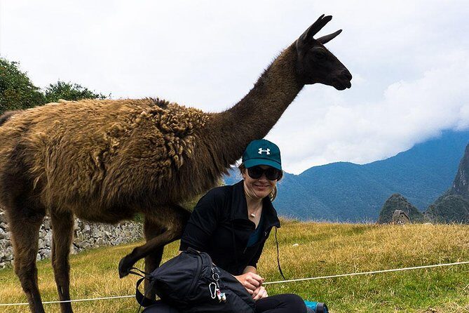 Machu Picchu Full Day Tour / Machu Picchu Day Trip - Return train and getting back to Cusco without drama