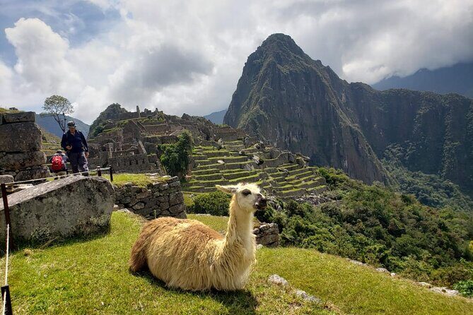 Machu Picchu Full Day Tour with a Private Guide - Private guide value and day-of reliability (the stuff you can feel)