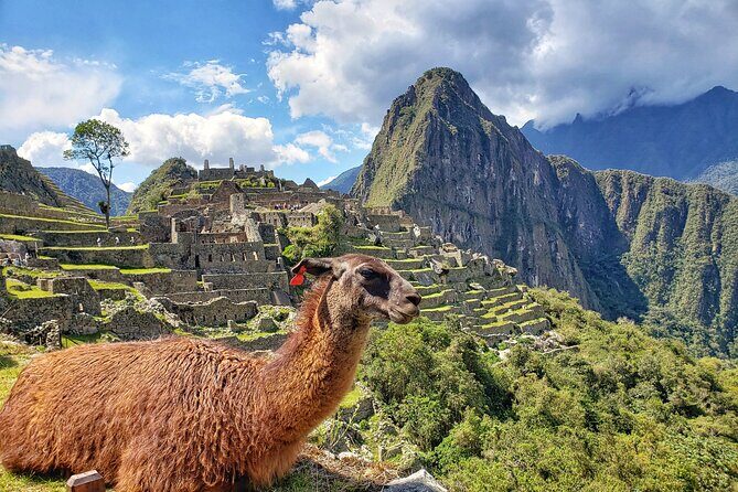 Machu Picchu Full Day Tour with a Private Guide - The panoramic train to Aguas Calientes: comfort, views, and an actual break