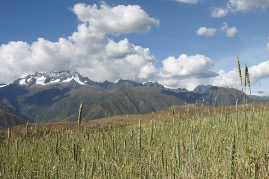 Machu Picchu: Private Full-Day Tour with Afternoon Entrance - Tickets, Passports, Circuits, and the Stuff You Must Bring