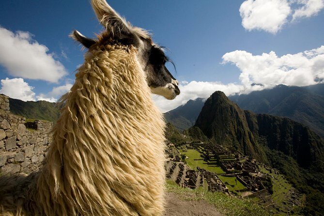 Machu Picchu Private Guided Tour from Aguas Calientes - Price and Value: Is $179 Worth It?