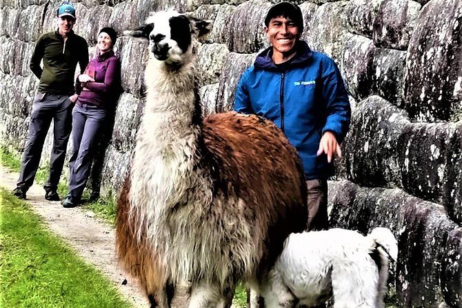 Machu Picchu: Private Tour Guide Service (2–3 Hours) - Guide quality: what to hope for, and what to watch