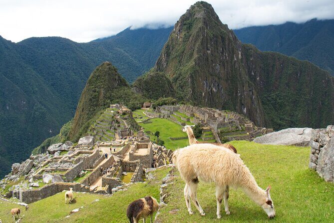 Machu Picchu Tour 01 Day, Departure at 08:00 AM from Cusco - Inside the Citadel: Main Square, Circular Tower, and Royal Rooms