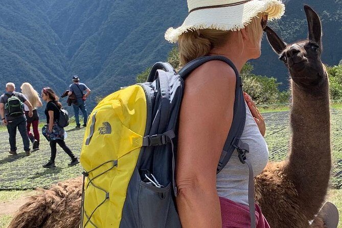 Machu Picchu Tour in 1 Day - 3:00 am Start: What One-Day Machu Picchu Actually Feels Like