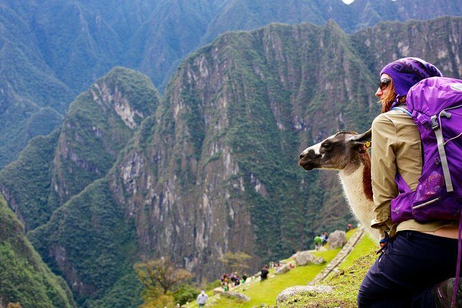 Machupicchu by train - 2 days- 1 night - Day 2: Early bus to the Machu Picchu main gate, then a 2-hour guided walk