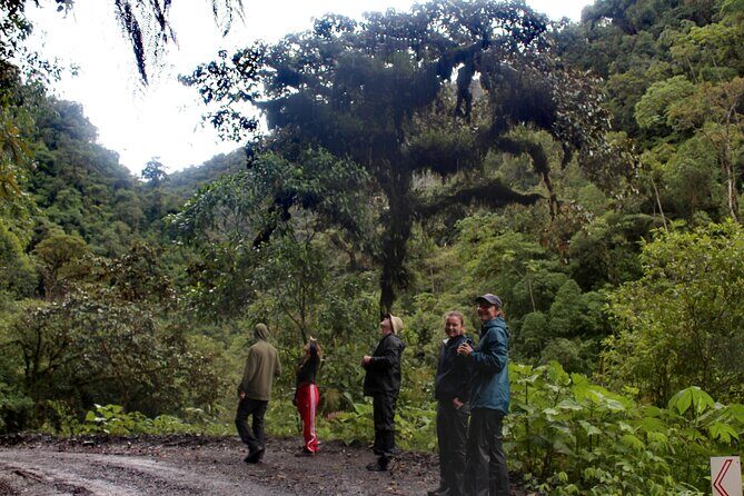 Manu jungle tours from Cusco (2 days). - Animal spotting in a short trip: how to work with the schedule