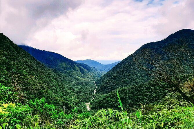 Manu jungle tours from Cusco (2 days). - Amazon Pona Lodge: the comfort that makes night walking possible