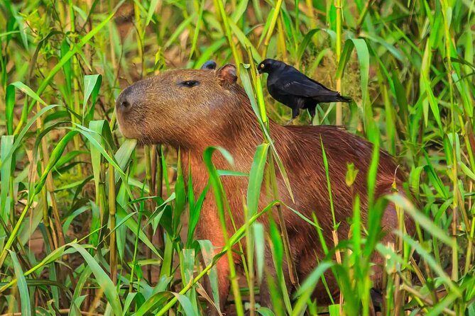 Manu National Park 2 Days Tour Peruvian Amazon - Lake Machuwasi raft ride in Parque Nacional del Manu