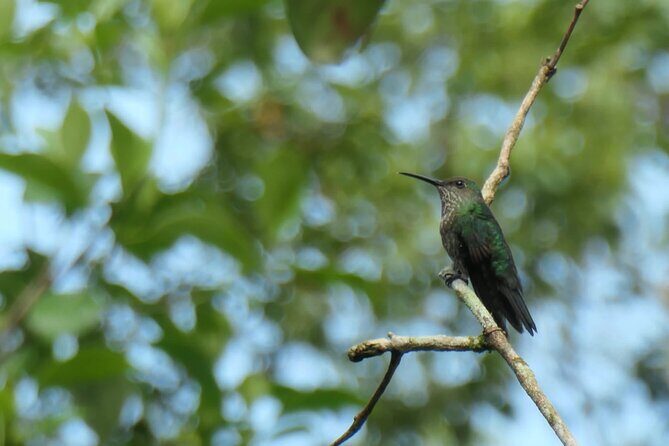 Manu National Park 2 Days Tour Peruvian Amazon - What’s included in the $501 price (and what you’re not paying for)