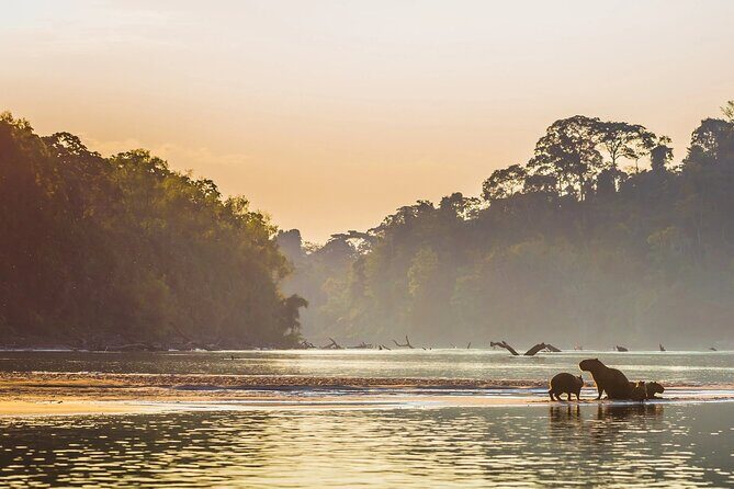 Manu National Park Tour 4 Days/3 Nights - Night Hikes in the Jungle: What You See Changes Fast