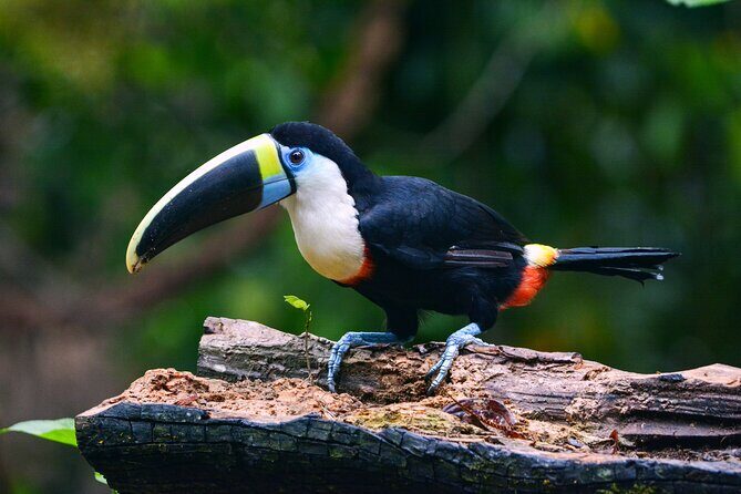 Manu Reserved Zone Amazon Tour 6 Days - 2026. - Cusco to the cloud forest: Paucartambo breakfast and the Abra de Acjanaco crossing