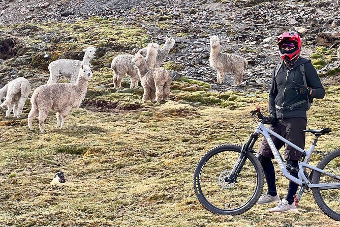 Mountain Biking Enduro - MTB Sacred Valley Lares - Key things to know before you ride
