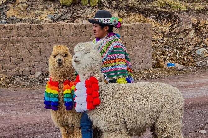 Mountain of Colors Vinincnever Full Day Tour from Cusco - The Real Deal on This Full-Day Vinicunca Adventure