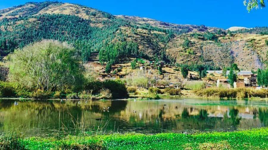 Mystic Cusco: Huasao, Valley of the Goblins and Morada - Forest of the Ents: Lord of the Rings characters made from roots and logs