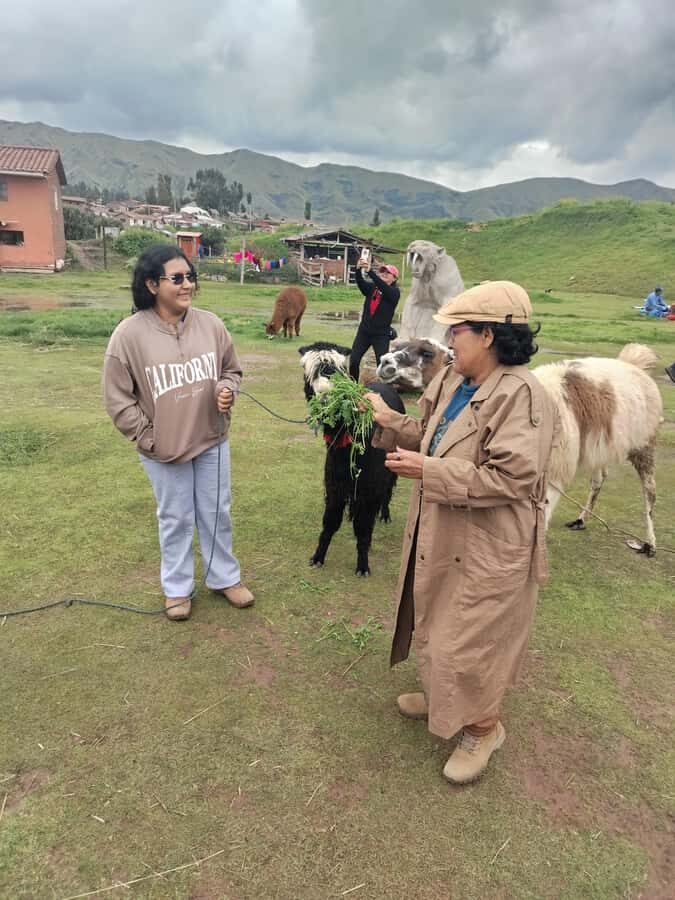 Open-top bus in the city of Cusco, 3-hour tour with panoramic views - Watching Cusco’s archaeology without constant walking