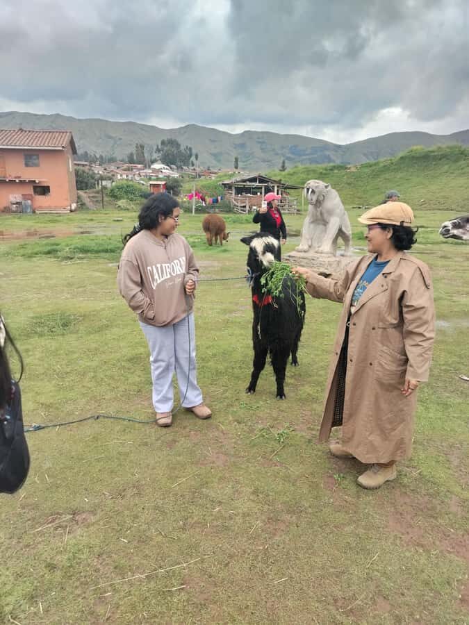 Open-top bus in the city of Cusco, 3-hour tour with panoramic views - Llaullikasa details: ceramics, stone models, and snacks decision time