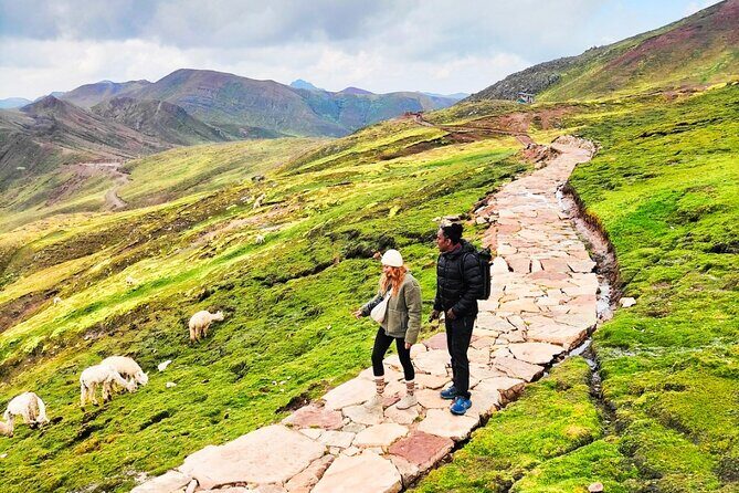 Palcoyo Colored Mountain Tour, Ribbon with Alpacas - Key highlights you should care about