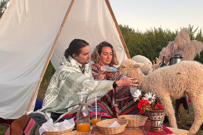 Picnic and Pukara Bull Painting in the Sacred Valley, Cusco, Peru - The Picnic Spread: Wine, Treats, and Mountain-Time Comfort
