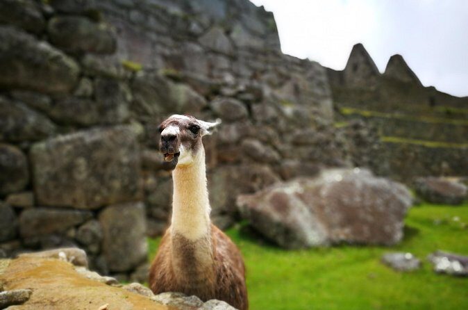 Private 2-Day Machu Picchu Tour with Sacred Valley Departure - Machu Picchu ticket reality: Classic Circuit priority and your passport info