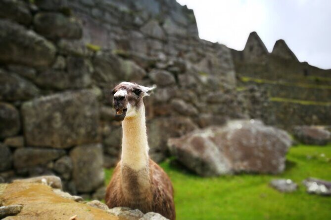 Private 2-Day Machu Picchu Tour with Sacred Valley Departure - What the schedule feels like in real life (and how to prep)