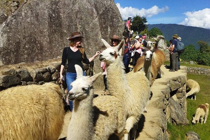 Private Day Tour to Machu Picchu - Ollantaytambo to Aguas Calientes by train: comfort that buys you time