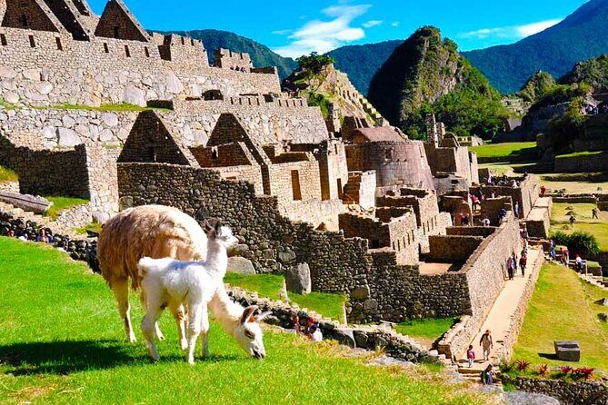 Private Guided Tour in Machu Picchu - Why Private Guidance Matters More Than You Think