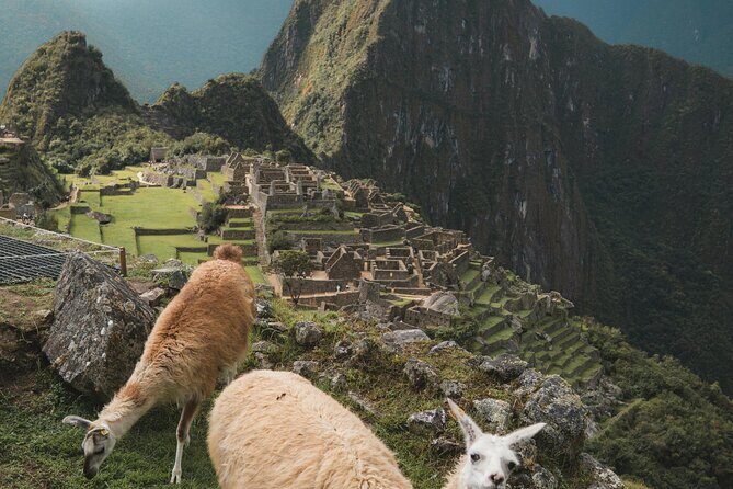 Private Machu Picchu Guided Tour from Aguas Calientes - Price and what $170 actually covers (and what it doesn’t)