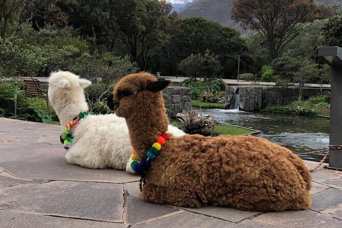 Private Rainbow Mountain - Private transport plus a real guide: what you gain on a hard day