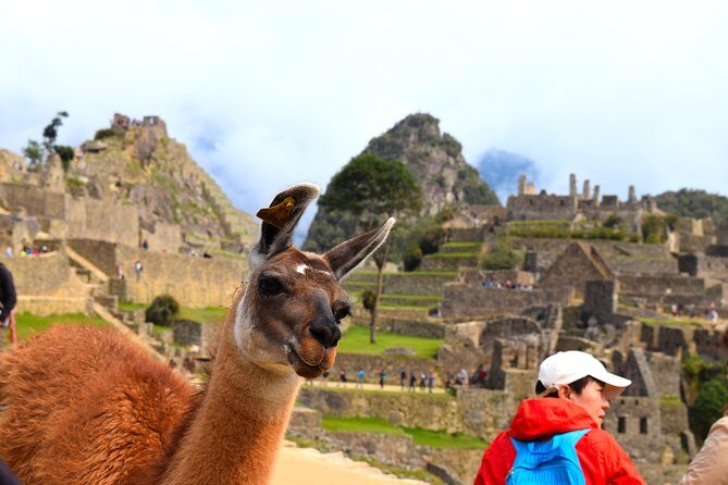 Private Tour, Full Day Machu Picchu with Lunch - A full day from Cusco: train through the Sacred Valley to Machu Picchu