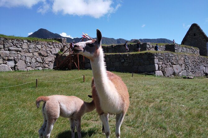 Private Tour in Machu Picchu - The 4:00am Start in Cusco: How the Day Gets Set Up