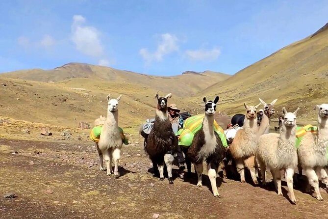 Rainbow Mountain and Red Valley - Private Service - Descent, Lunch, and Your Return to Cusco (4:00–6:00 PM)