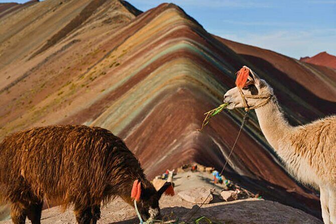 Rainbow Mountain Day Trip from Cusco Vinicunca Adventure - Reaching the Summit at 5,100 m: Your Photo Window and Panoramic Payoff