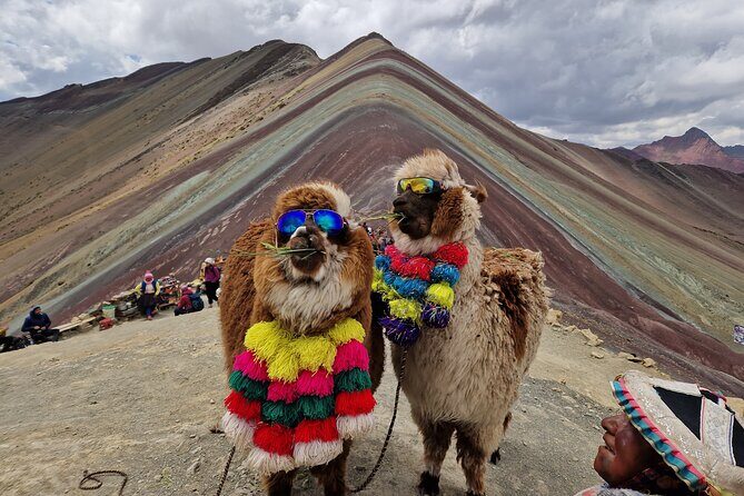 Rainbow Mountain Full Day Tour from Cusco with Lunch - Arriving at Rainbow Mountain: color, animals, and real photo time