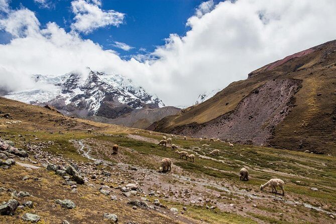 Rainbow Mountain - Group Service - Should you book Inkayni Peru Tours for Vinicunca?