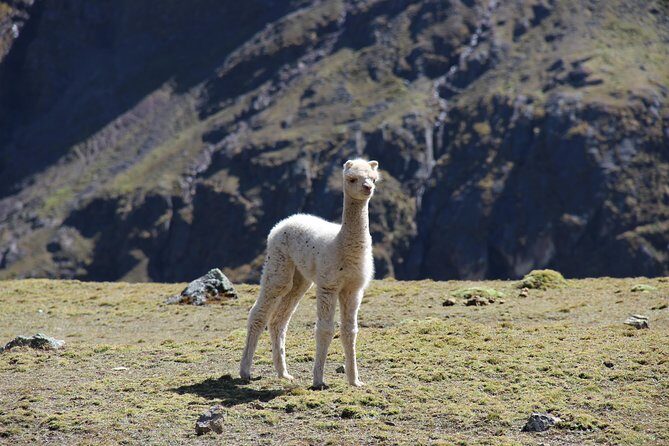 Rainbow mountain - Private Full Day - Lunch at the trailhead and the Quechua community visit