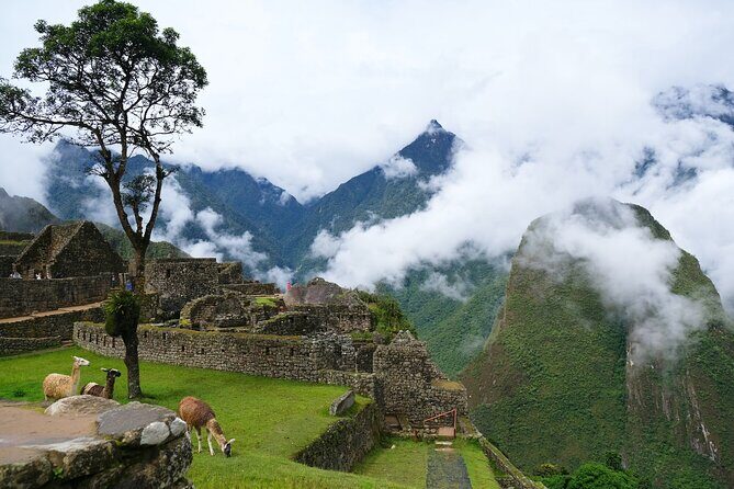 Sacred Valley and Machu Picchu 2 Day Tour with Accommodation - Cusco pickup at 7:00 am: getting set up for a smooth start