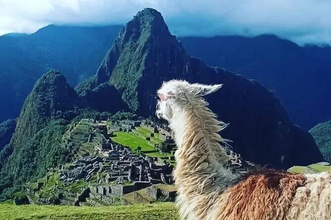 Sacred Valley and Machu Picchu 2 days - Sacred Valley to Machu Picchu in 2 Days: what this tour gets right