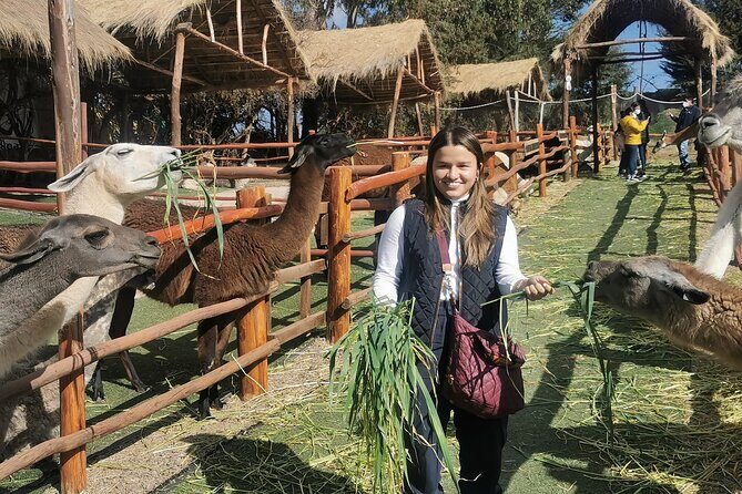 Sacred Valley: Chinchero, Moray, Maras Salt Mines & Ollantaytambo - Ollantaytambo: fortress, sanctuary, and the key train connection