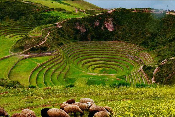 Sacred Valley || Chinchero || Salt Mines || Moray || From Ollantaytambo || - Stop 2: Moray and the Maras salt mines (the wow factor)