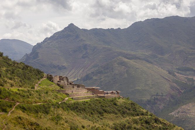 Sacred Valley - Pisac and Ollantaytambo day tour - Manos De La Comunidad: alpacas, llamas, and vicuñas with a community purpose