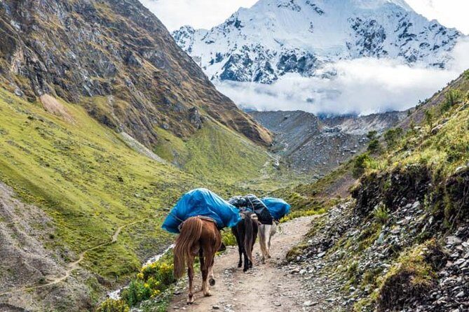 Salkantay Trek 4 Days to Machu Picchu - Return to Cusco by train - From Cusco Pickup to the First Steps: What Day 1 Really Feels Like