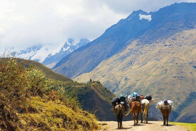 Salkantay Trek to Machu Picchu in 4 Days - Key things to know before you go
